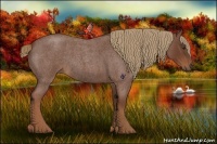 Horse Color:Red Roan