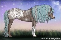 Horse Color:Painted Silver Black Ice 