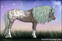 Horse Color:Painted Silver Black Ice 