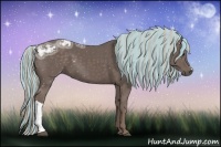 Horse Color:Painted Silver Black Ice 