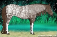 Horse Color:Liver Chestnut Ice Rabicano  and Liver Chestnut Ice Rabicano 