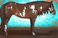 Horse Color:White Spotted Liver Chestnut 