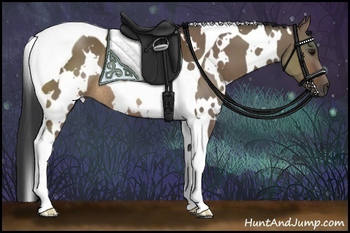 Horse Color:White Spotted Brown Dun Tobiano Rabicano