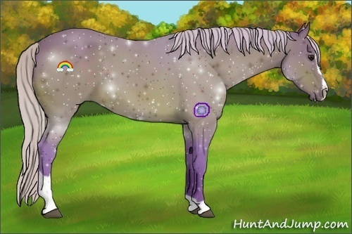 Horse Color:Watercolor Silver Bay Sabino 