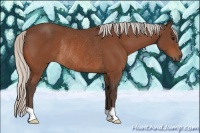 Horse Color:Silver Brown Rabicano 