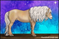 Horse Color:Silver Classic Champagne Frame 