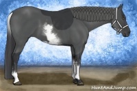 Horse Color:White Spotted Black Frame