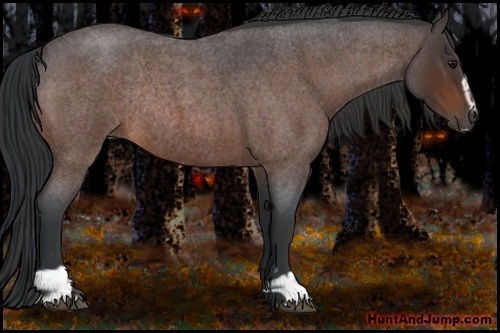 Horse Color:Bay Roan Sabino Rabicano