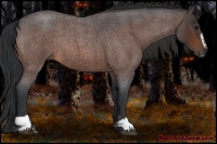 Horse Color:Bay Roan Sabino Rabicano