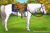 Horse Color:Black Splash Appaloosa