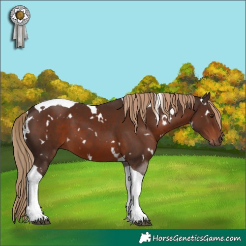Horse Color:White Spotted Liver Chestnut Tobiano 