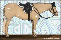 Horse Color:White Spotted Palomino Sabino