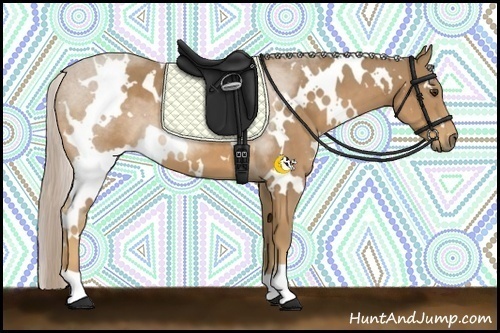 Horse Color:White Spotted Palomino 