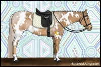 Horse Color:White Spotted Palomino