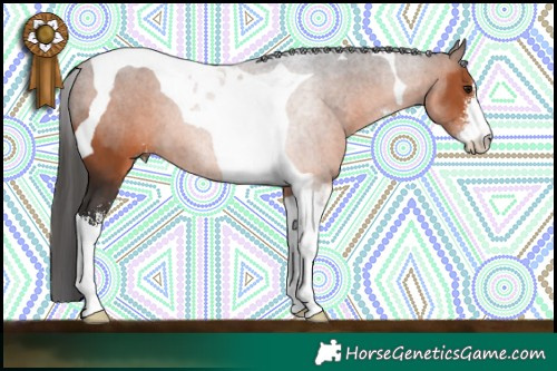 Horse Color:Brown Sabino Tobiano 
