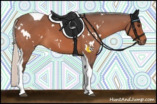 Horse Color:White Spotted Silver Bay Tobiano