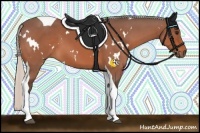 Horse Color:White Spotted Silver Bay Tobiano