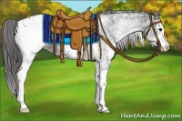 Horse Color:White Spotted Black Splash Appaloosa 