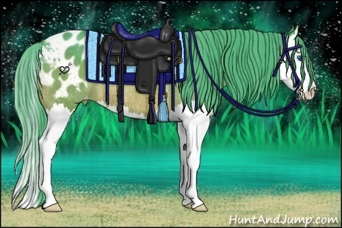 Horse Color:Watercolor Bay Splash Appaloosa Rabicano 