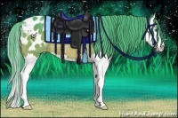 Horse Color:Watercolor Bay Splash Appaloosa Rabicano 