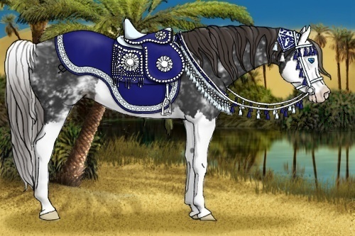 Horse Color:White Spotted Liver Chestnut Splash