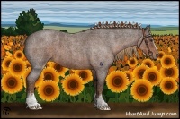 Horse Color:White Spotted Liver Red Roan