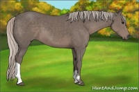 Horse Color:Silver Black 