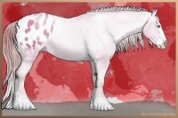 Horse Color:Chocolate Buckskin Pearl Dun Splash Varnish Rabicano 