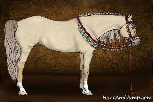 Horse Color:Chocolate Palomino Roan Dun 