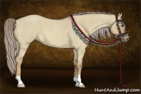 Horse Color:Chocolate Palomino Roan Dun 