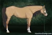 Horse Color:Buckskin Dun Sabino