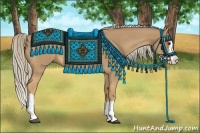 Horse Color:Palomino Roan Splash 