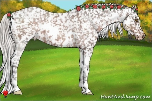 Horse Color:White Spotted Silver Brown Snowflake Varnish