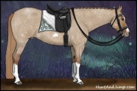 Horse Color:Red Dun Roan Splash Frame Rabicano 