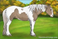 Horse Color:Silver Grullo Sabino Tobiano