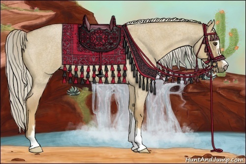 Horse Color:Palomino Roan Dun Sabino
