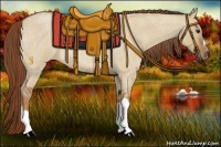 Horse Color:Red Dun Roan Splash Frame Rabicano