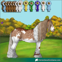 Horse Color:White Spotted Red Dun Splash Frame Rabicano Brindle