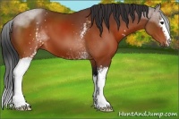 Horse Color:White Spotted Brown Sabino 