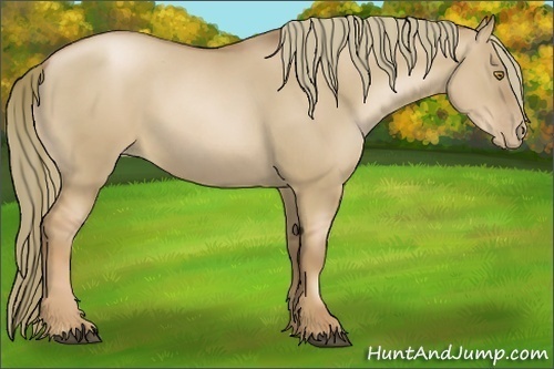 Horse Color:Liver Red Dun Pearl