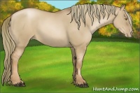 Horse Color:Liver Red Dun Pearl