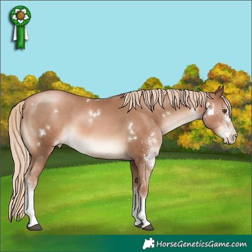 Horse Color:White Spotted Liver Chestnut Pearl 