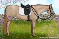 Horse Color:Liver Chestnut Pearl 