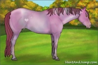 Horse Color:Liver Red Dun Pearl
