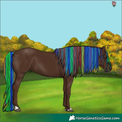 Horse Color:Gray Painted Chestnut 