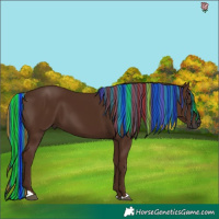 Horse Color:Gray Painted Chestnut 