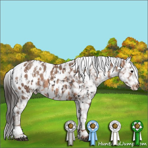 Horse Color:Brown Tobiano Blanket and White Spotted Sable Champagne Blanket