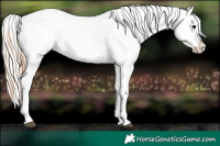 Horse Color:Brown Varnish  and Silver Brown Varnish 