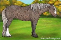 Horse Color:Silver Bay Ice