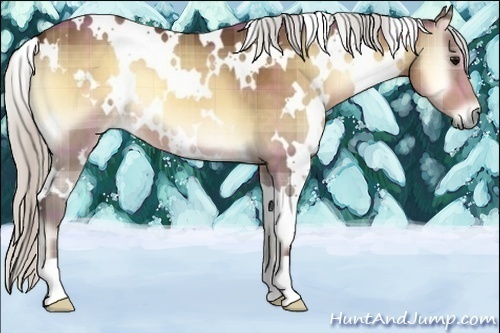 Horse Color:Plaid  White Spotted Silver Bay Onyx 